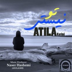 Atila Karimi – To Nisti
